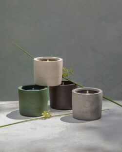 Świeca zewnętrzna akacja z bluszczem OI H&G Belldeco